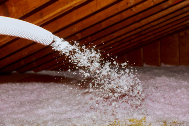 Best Commercial Insulation in Rochelle, GA