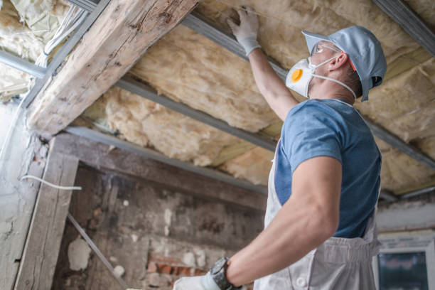 Best Insulation Maintenance and Repair in Rochelle, GA