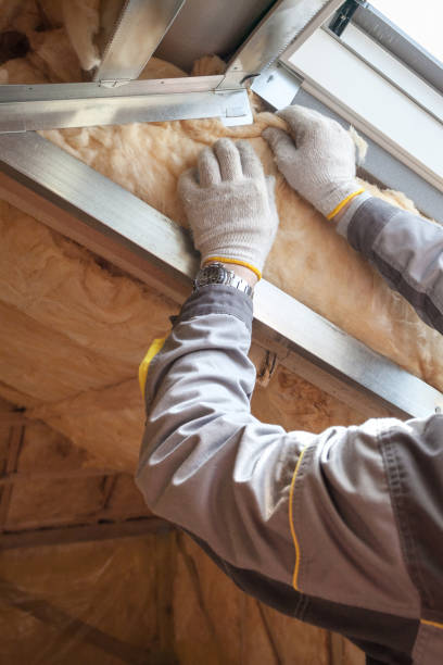 Best DIY Insulation Kits and Guidance in Rochelle, GA