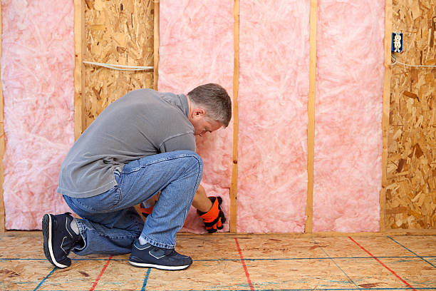 Best Energy Efficiency Insulation in Rochelle, GA